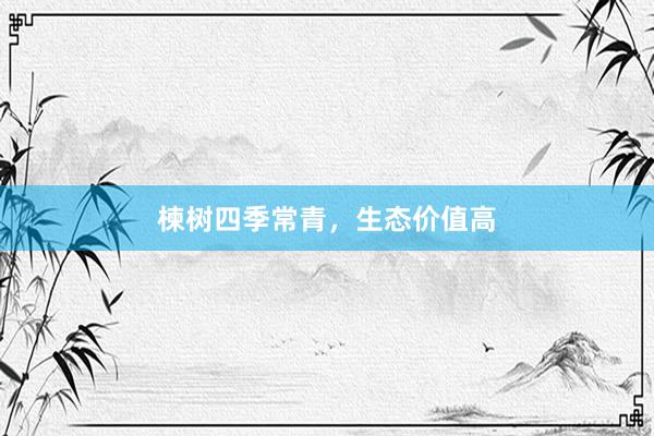 楝树四季常青，生态价值高