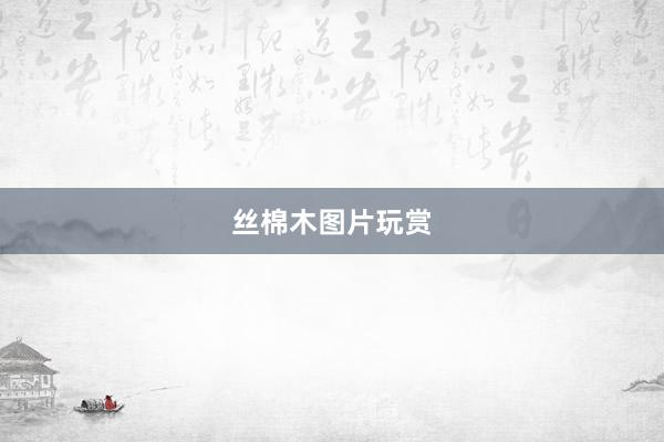丝棉木图片玩赏