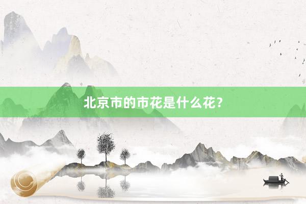 北京市的市花是什么花？