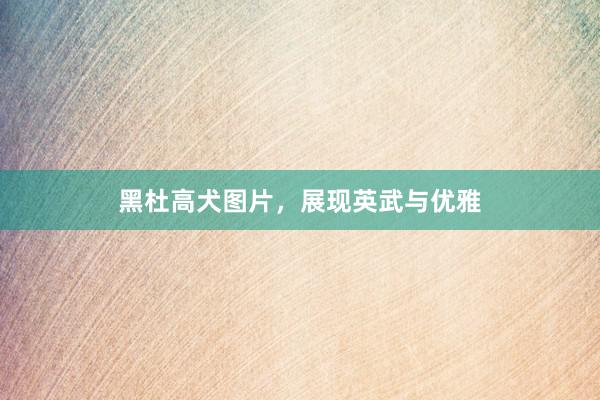 黑杜高犬图片,展现英武与优雅