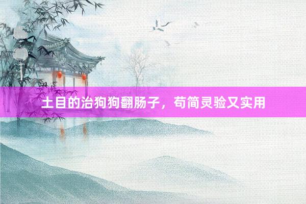 土目的治狗狗翻肠子，苟简灵验又实用