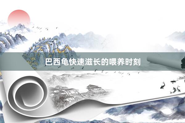 巴西龟快速滋长的喂养时刻