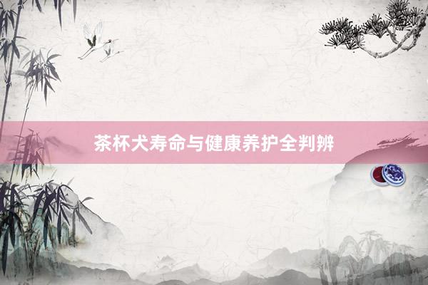 茶杯犬寿命与健康养护全判辨