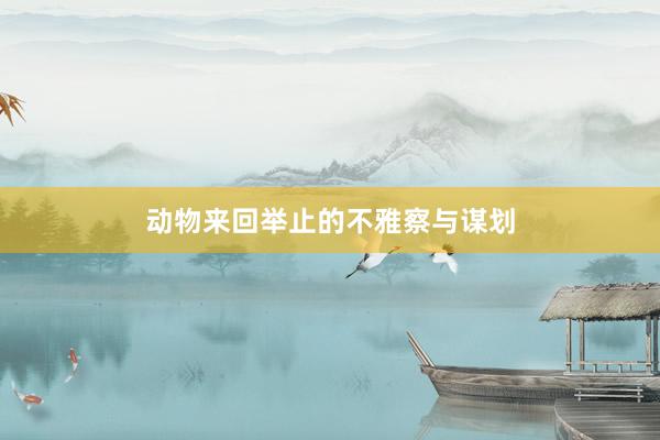 动物来回举止的不雅察与谋划